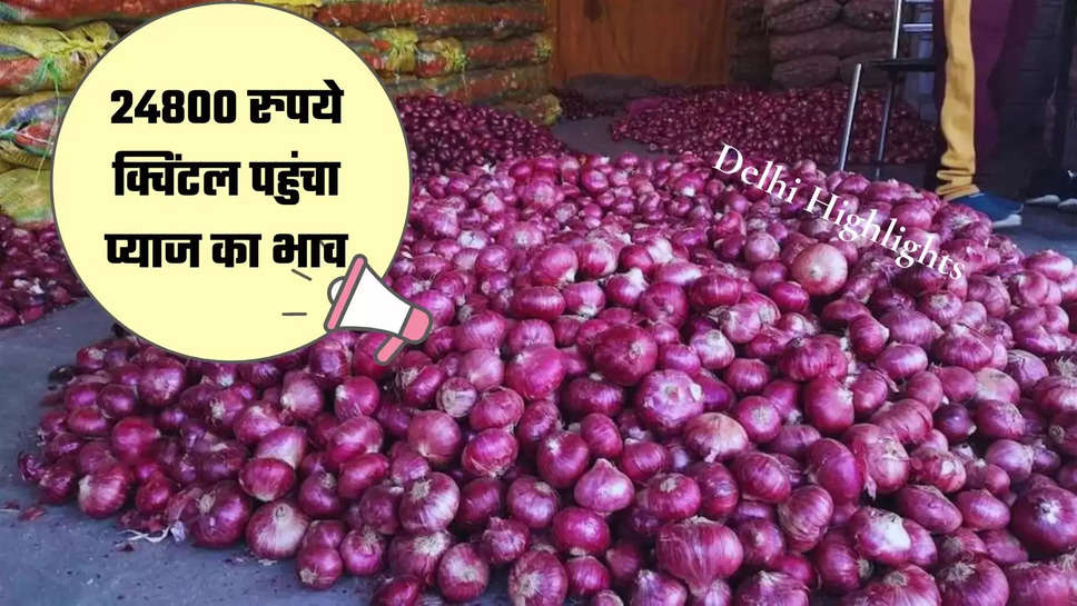 Onion Price Today