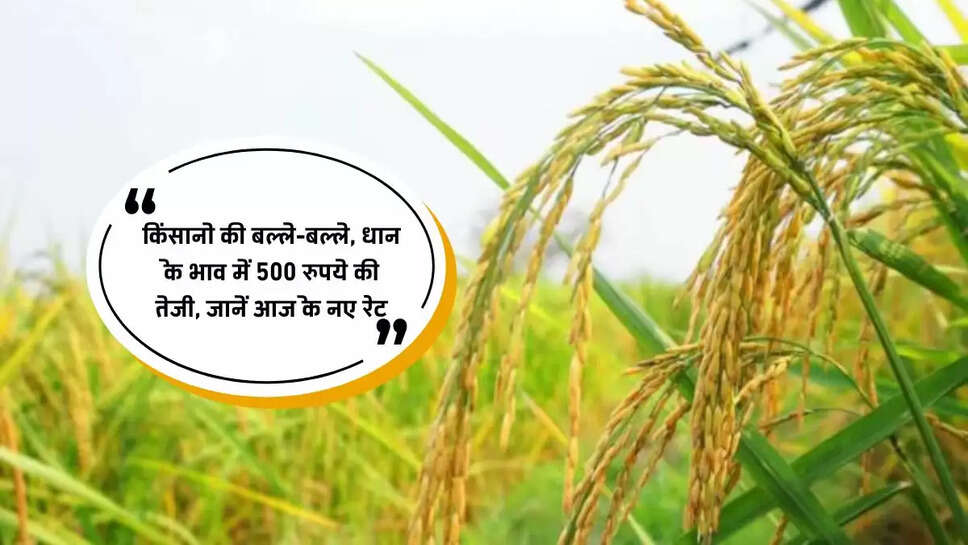 dhan ka bhav