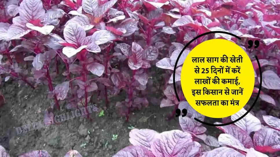Red Saag