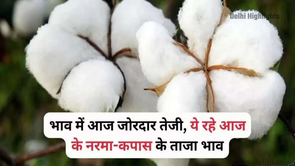 Narma ka bhav