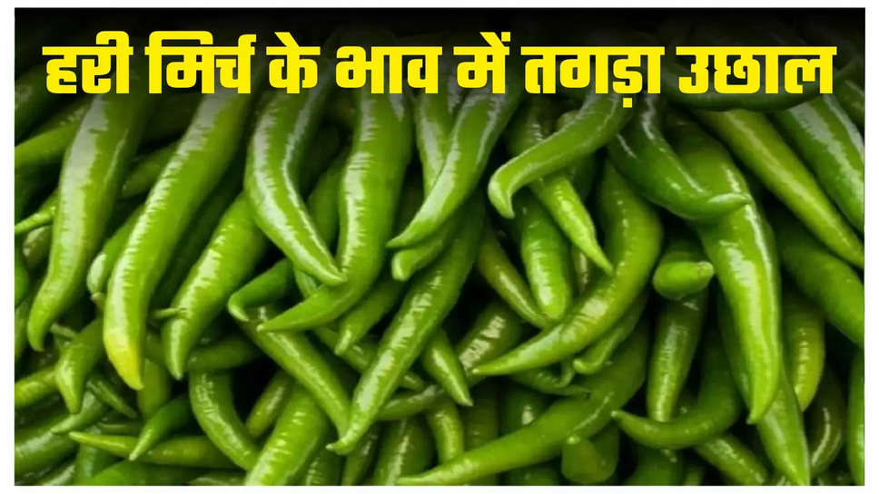 Green Chilli Price