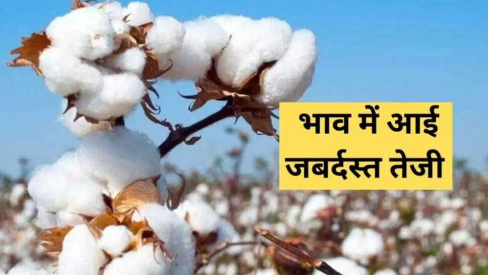 Aaj Ke Mandi Bhav