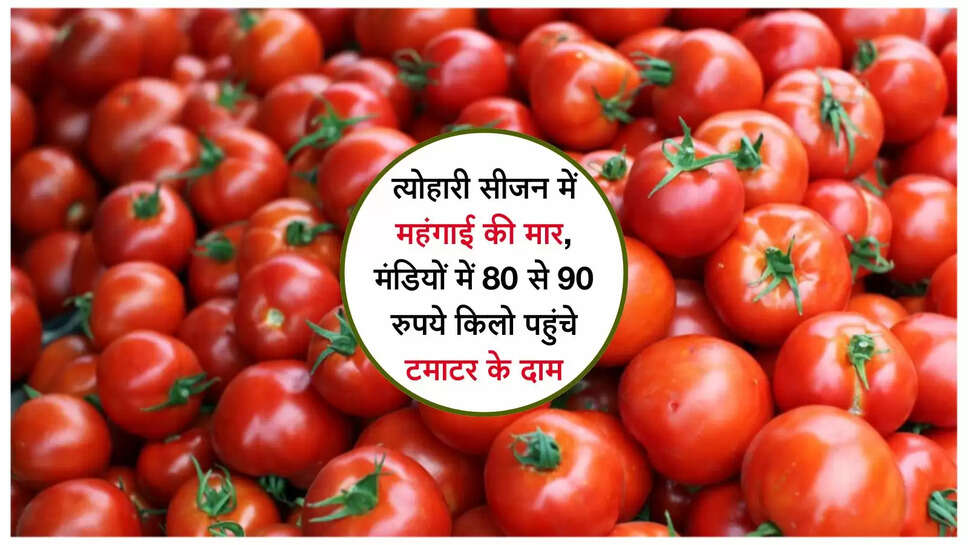 Tomato Price Today