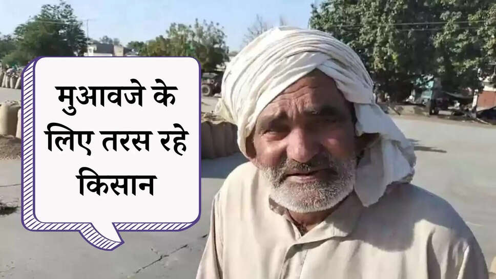 Sirsa