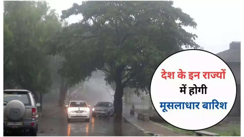 Haryana Mousam