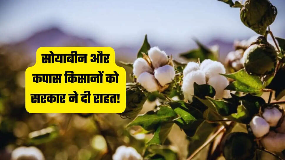 Soybeans and cotton