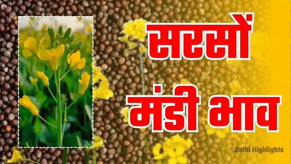 Aaj Ka Mandi Bhav