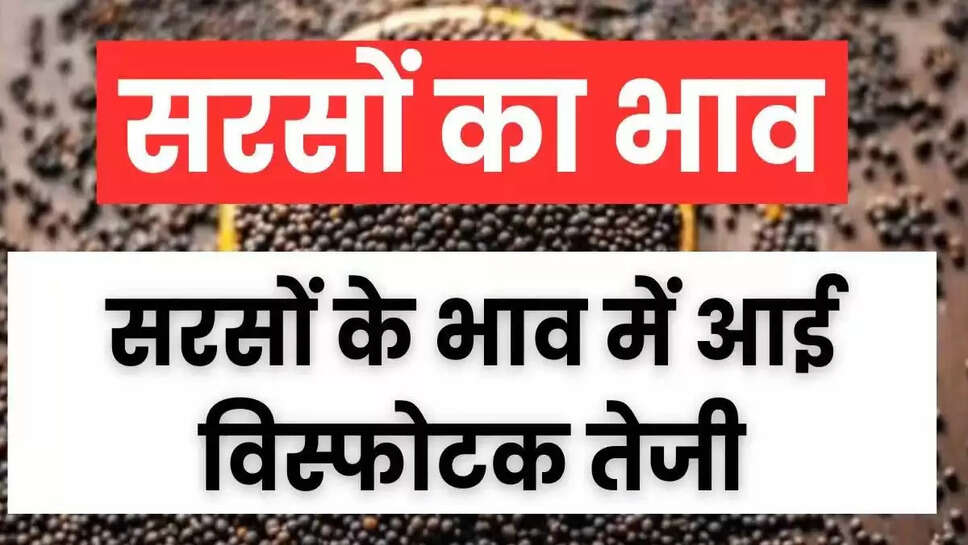 Sarso Ka Bhav