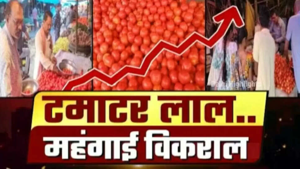 Tomato Market Price Today