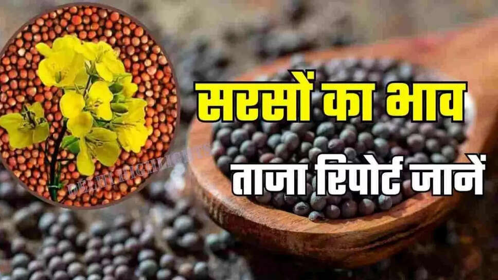 Aaj Ka Sarso Ka Bhav