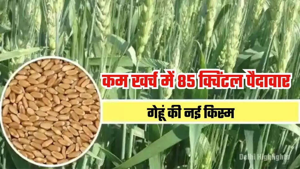 Agricultural Research