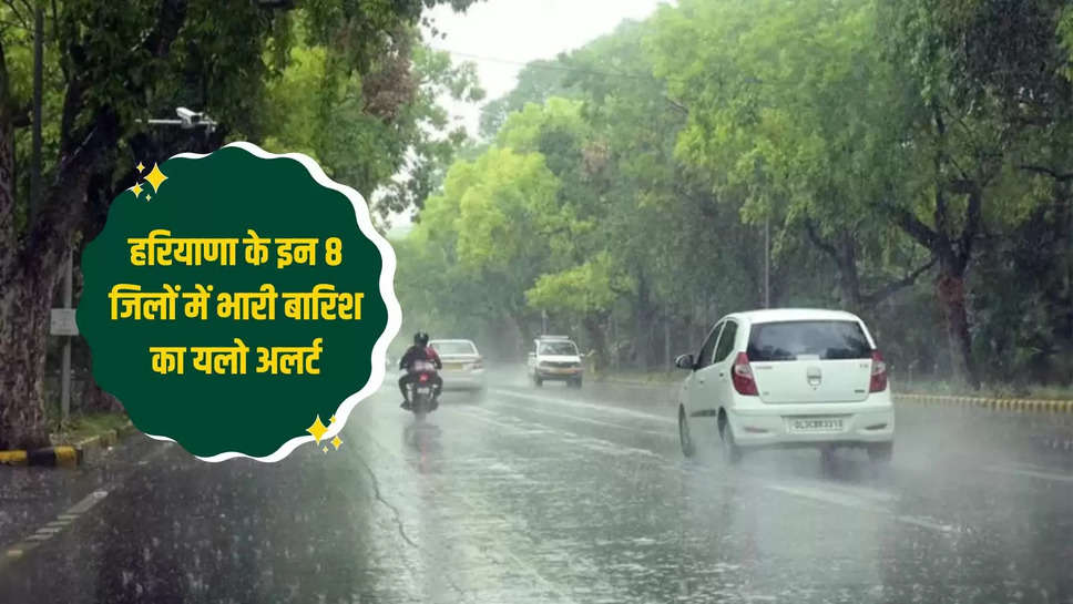 Haryana Monsoon Update