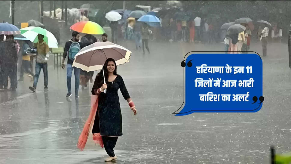 Haryana Weather Update