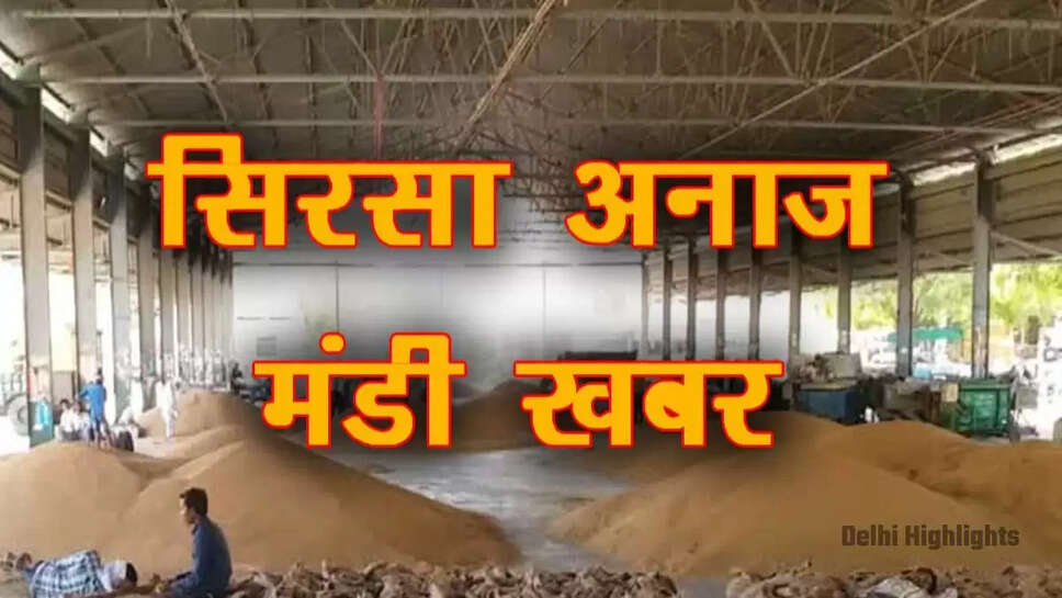 sirsa mandi bhav today