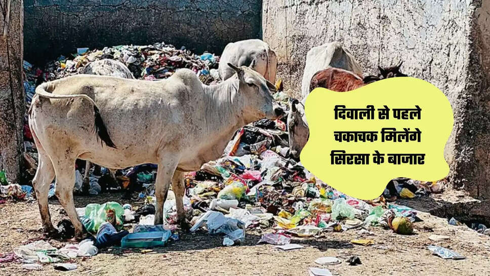 Sirsa Market