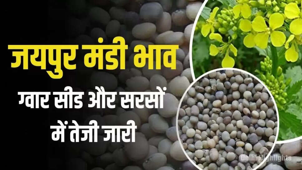guar gum price