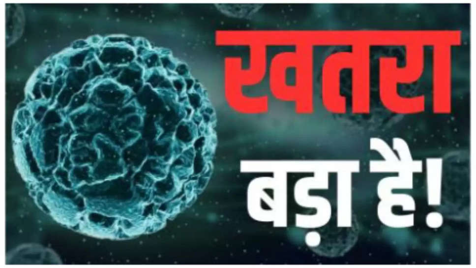 Chandipura Virus