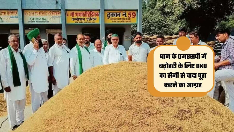 MSP of Paddy