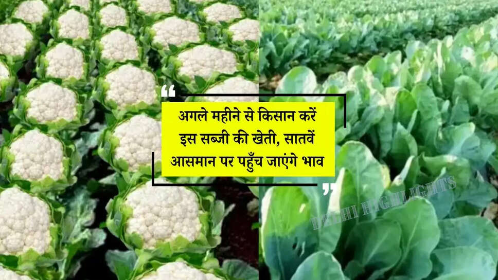 Vegetables Farming