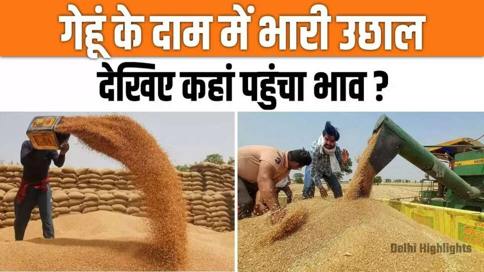 wheat prices