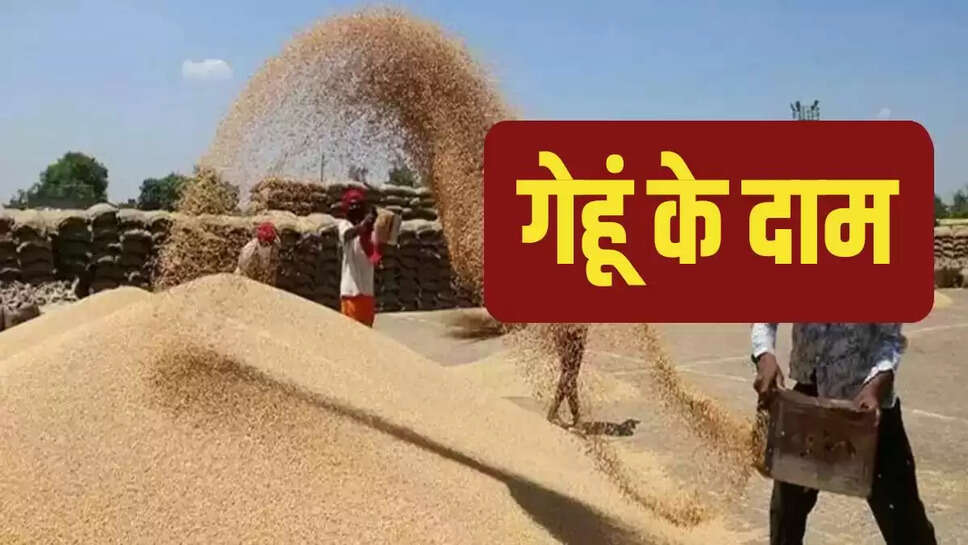 wheat price
