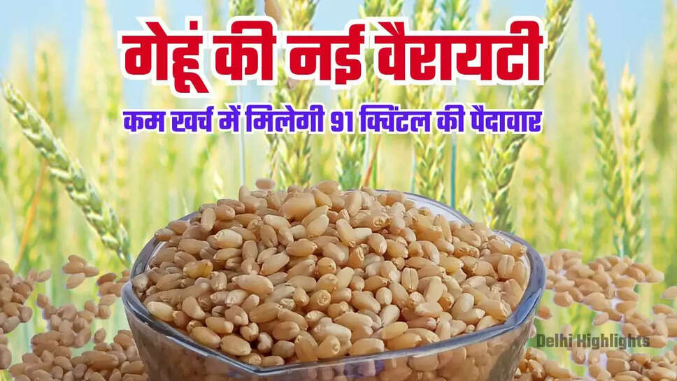Gehu Ki Top Variety